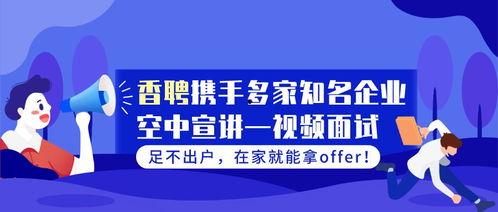 视频面试技巧和注意事项,技巧与注意事项全解析